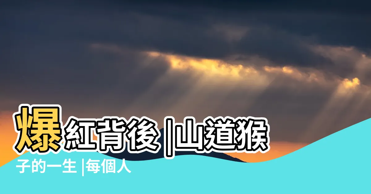 【山道猴的一生】爆紅背後 |山道猴子的一生 |每個人都有的 |