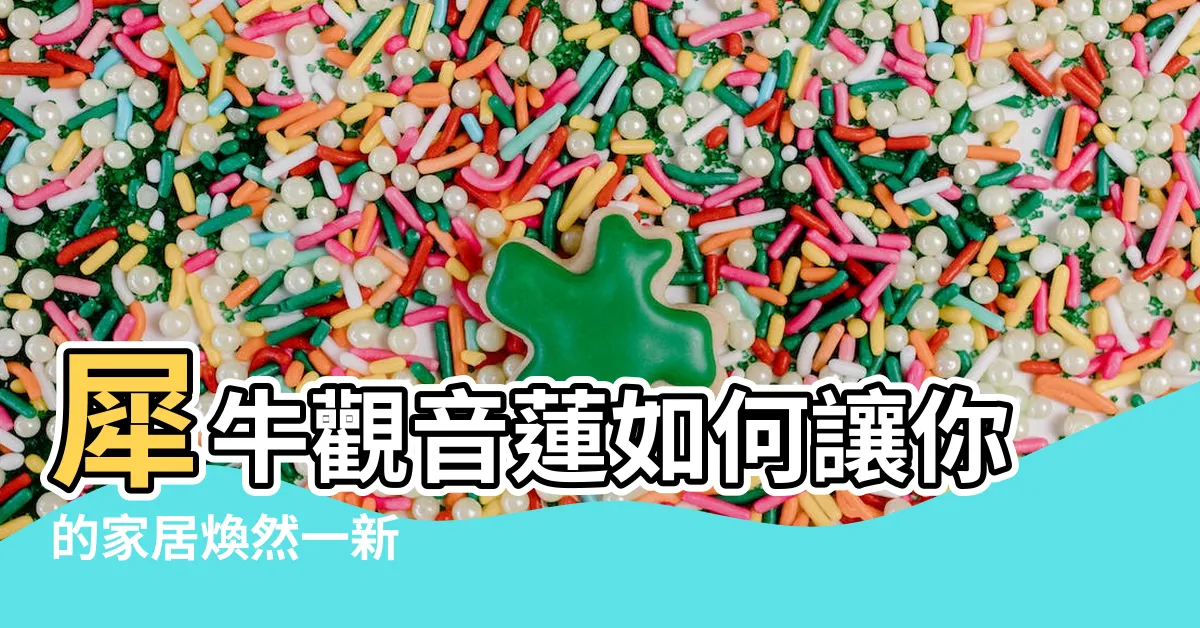 【犀牛觀音蓮】犀牛觀音蓮如何讓你的家居煥然一新