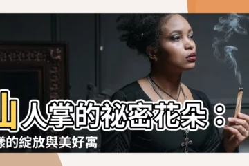 【仙人掌有花嗎】仙人掌的秘密花朵：謎樣的綻放與美好寓意