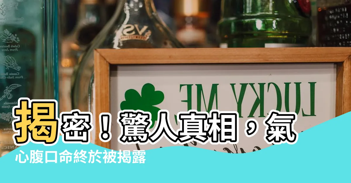 【氣心腹口命】揭密！驚人真相，氣心腹口命終於被揭露！