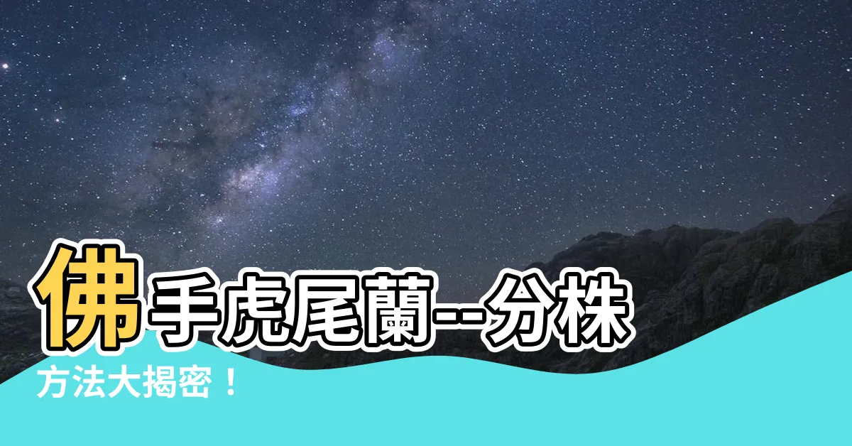 【佛手虎尾蘭分株】佛手虎尾蘭--分株方法大揭密！