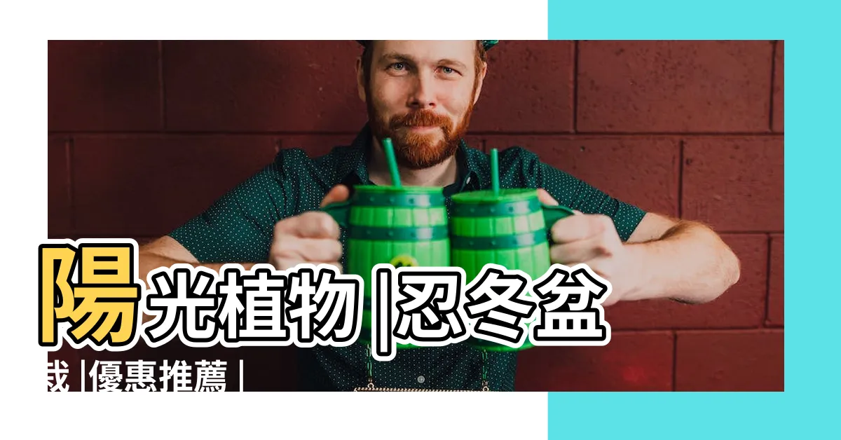 【金銀花盆栽】陽光植物 |忍冬盆栽 |優惠推薦 |