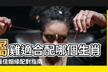 【屬雞適合的生肖】屬雞適合配哪個生肖？最佳姻緣配對指南，助你找到幸福伴侶！