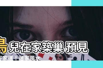 【鳥兒在家築巢】鳥兒在家築巢 預見美好家運！居家風水大解析