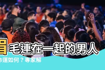 【眉毛連在一起男】眉毛連在一起的男人，命運如何？專家解析吉凶！