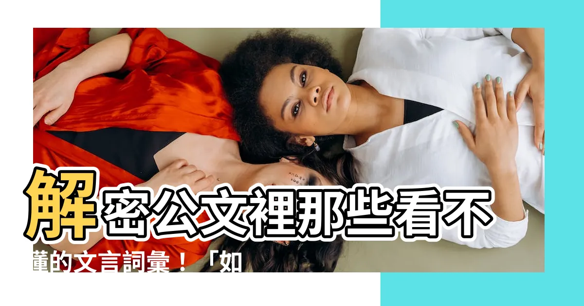 【如後意思】解密公文裡那些看不懂的文言詞彙！「如後意思」懶人包現身！