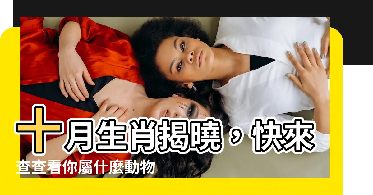 【10月屬什麼】十月生肖揭曉，快來查查看你屬什麼動物吧！