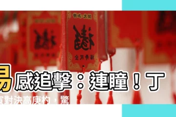 【易感追擊連瞳】易感追擊：連瞳！丁海寅對決高庚杓，驚悚揭幕！