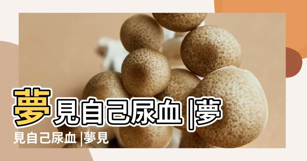 夢見自己尿血 |夢見自己尿血 |夢見尿血 |【解夢小便尿血】