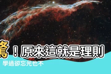 【理則學是什麼】驚！原來這就是理則學！學過卻忘光也不怕，一次搞懂！