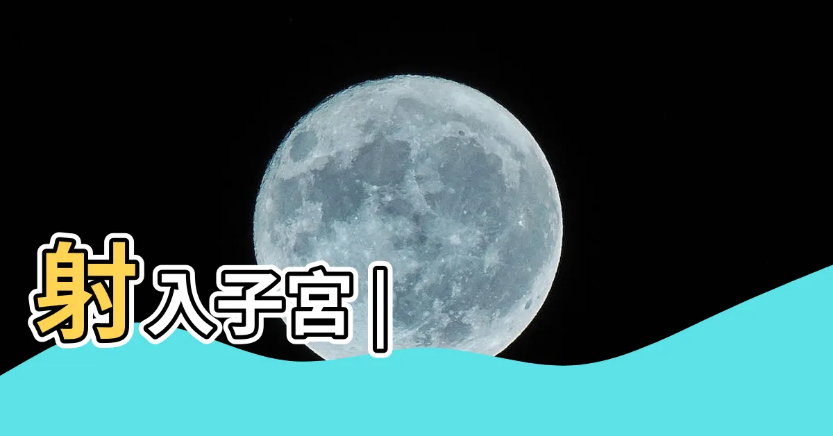 【做愛漫畫】射入子宮 |