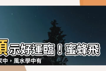 【蜜蜂 風水】預示好運臨！蜜蜂飛進家中，風水學中有這些吉兆