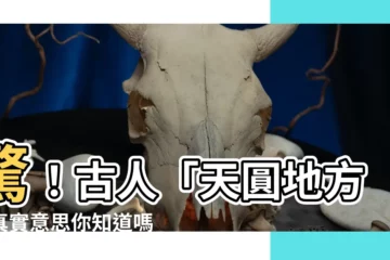 【天圓地方意思】驚！古人「天圓地方」真實意思你知道嗎？