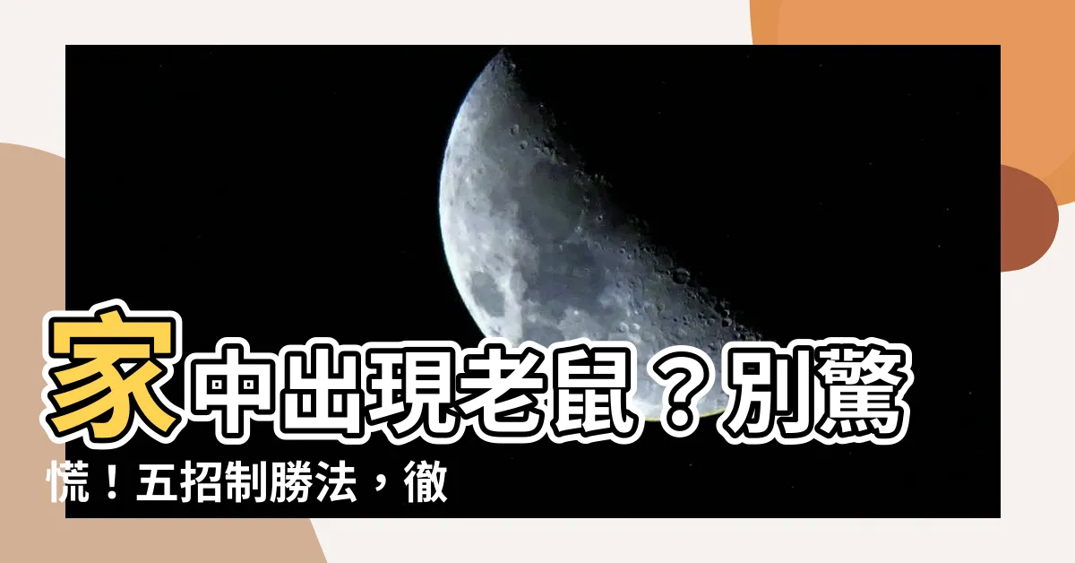 【家中出現老鼠】家中出現老鼠？別驚慌！五招制勝法，徹底告別鼠患