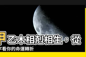 【甲木 乙木】甲乙木相剋相生，從八字看你的命運轉折！