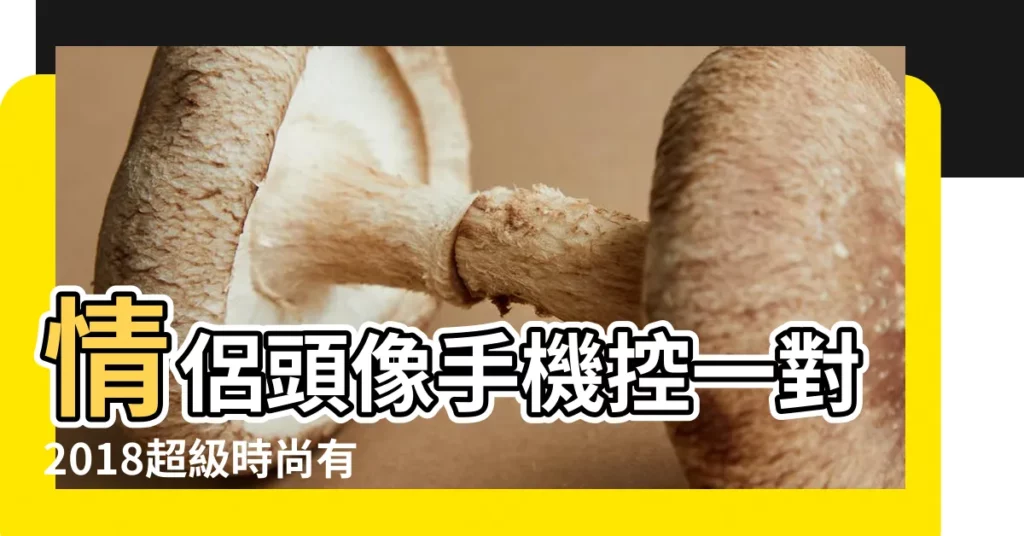 情侶頭像手機控一對2018超級時尚有範以後的路我們一起走 |hk589 |2019豬年情侶微信網名可愛浪漫年輕有為社會小青年 |【情侶時尚網名大全2015新年】