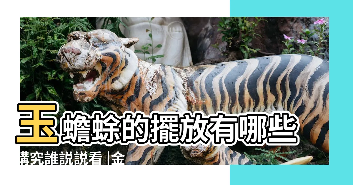 【玉蟾蜍擺放】玉蟾蜍的擺放有哪些講究誰説説看 |金蟾蜍和玉蟾蜍擺放注意事項 |擺咬錢金蟾蜍注意事項單獨擺放其實沒有效果 |