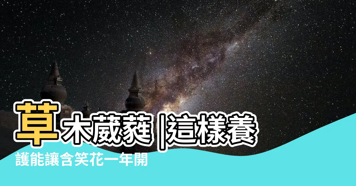 【含笑花期】草木葳蕤 |這樣養護能讓含笑花一年開花多次 |