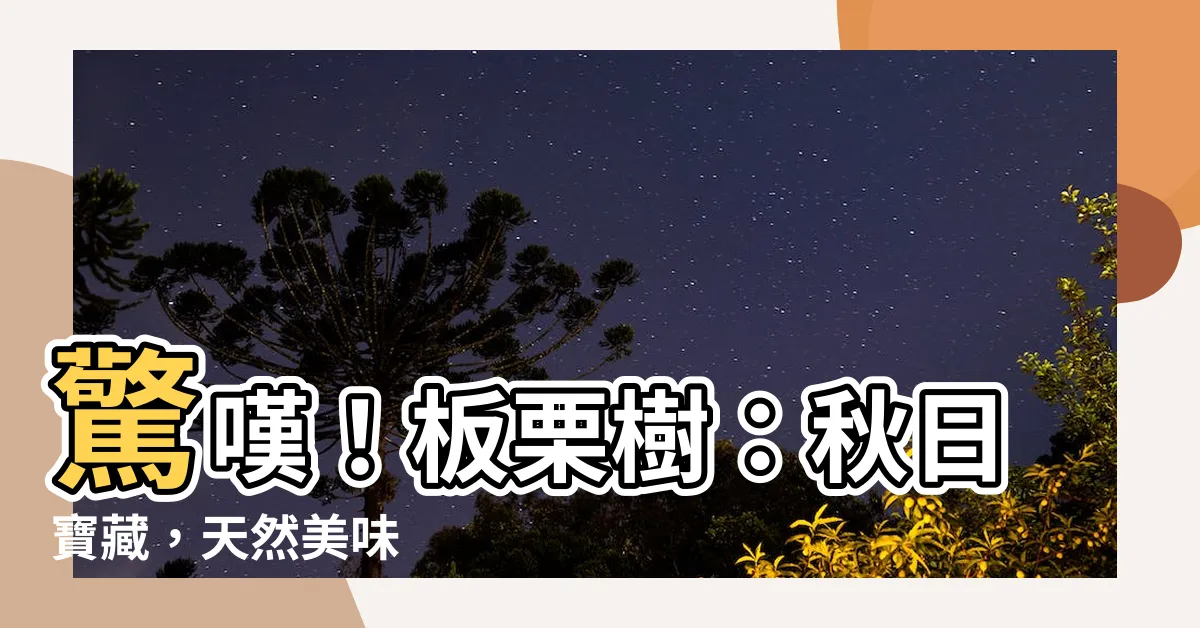 【板栗樹】驚嘆！板栗樹：秋日寶藏，天然美味