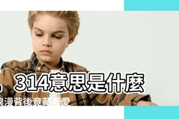 【1314 意思】1314意思是什麼？浪漫背後竟藏著愛情真相？！