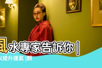 【公司麒麟擺放位置】風水專家告訴你 |可以提升運氣 |麒麟的風水作用及擺放方法 |