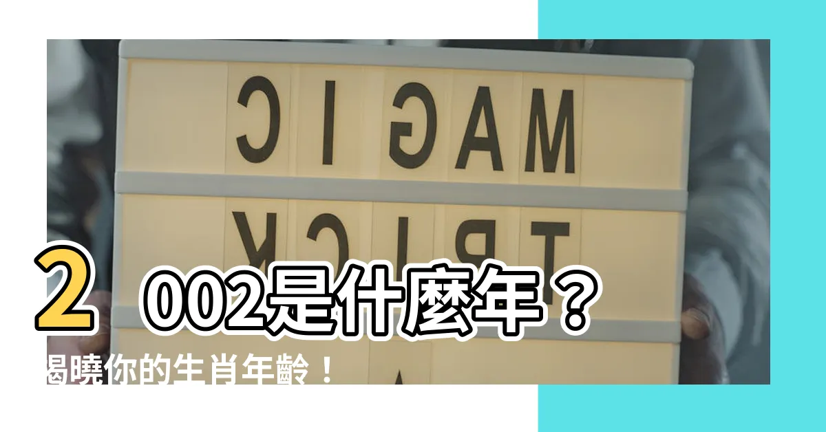 【2002是什麼年】2002是什麼年？揭曉你的生肖年齡！