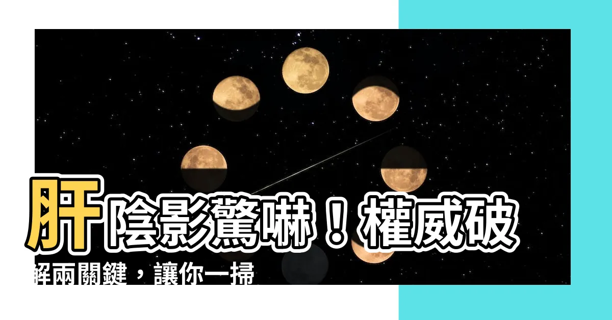 【肝陰影驚嚇】肝陰影驚嚇！權威破解兩關鍵，讓你一掃憂雲