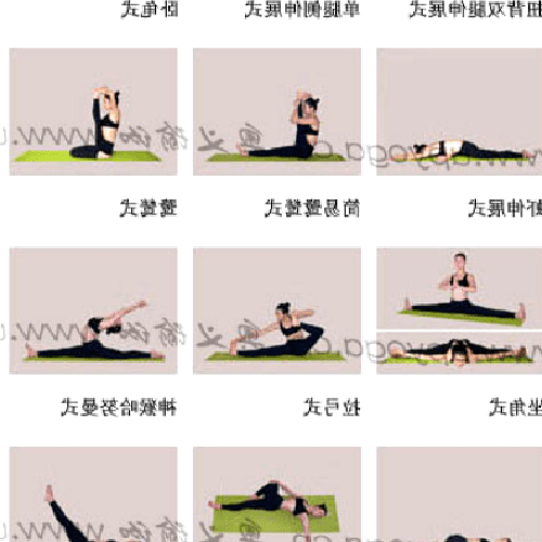 3、有哪些瑜伽項目?