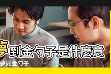 【懷孕的人夢見金簪子】夢到金勺子是什麼意思 |夢見金勺子 |夢到金簪子是什麼意思 |