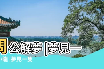 【夢見一隻手上有條小龍】周公解夢 |夢見一條小龍 |夢見一隻手上有條小龍 |
