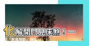 【化解開門見牀屏風】化解開門見牀煞！一招「屏風隔斷」保住好孕氣