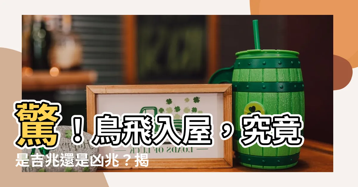 【鳥飛來】驚！鳥飛入屋，究竟是吉兆還是凶兆？揭密鳥類飛來的神秘預兆