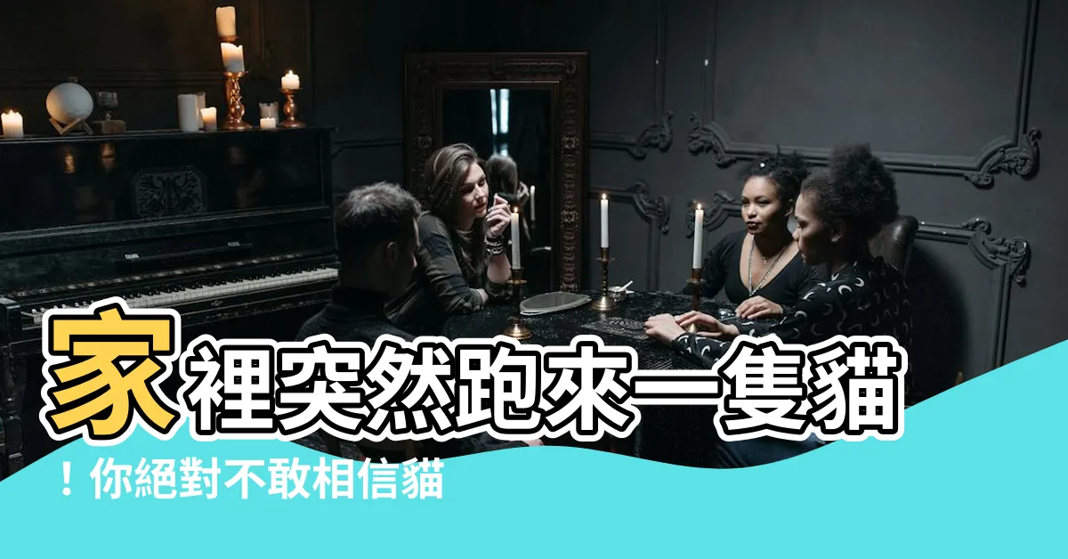 【家裡跑來一隻貓】家裡突然跑來一隻貓！你絕對不敢相信貓的目的竟然是...