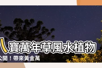 【黃金萬年草風水】八寶萬年草風水植物大公開！帶來黃金萬兩財富，必養在家！