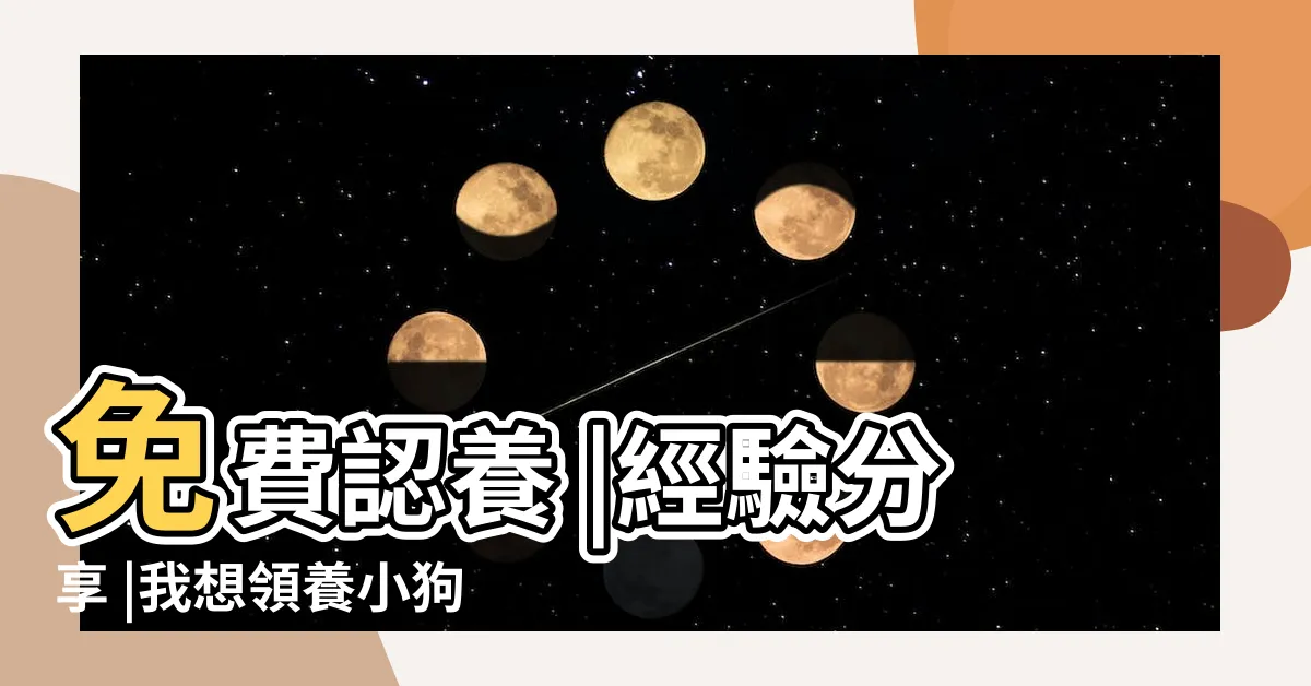 【我要養一隻小狗】免費認養 |經驗分享 |我想領養小狗 |