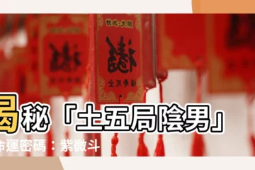 【土五局陰男】揭秘「土五局陰男」的命運密碼：紫微鬥數五行局之土五局解析