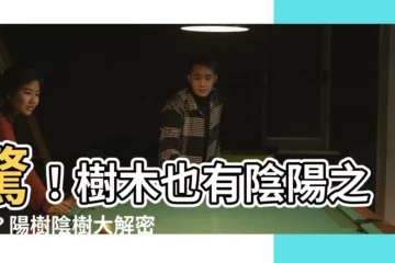 【陽樹陰樹】驚！樹木也有陰陽之分？陽樹陰樹大解密