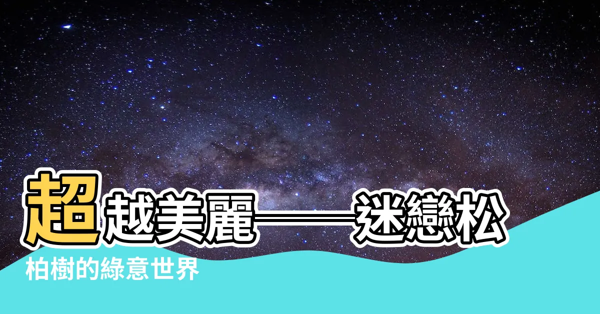 【松柏樹】超越美麗──迷戀松柏樹的綠意世界
