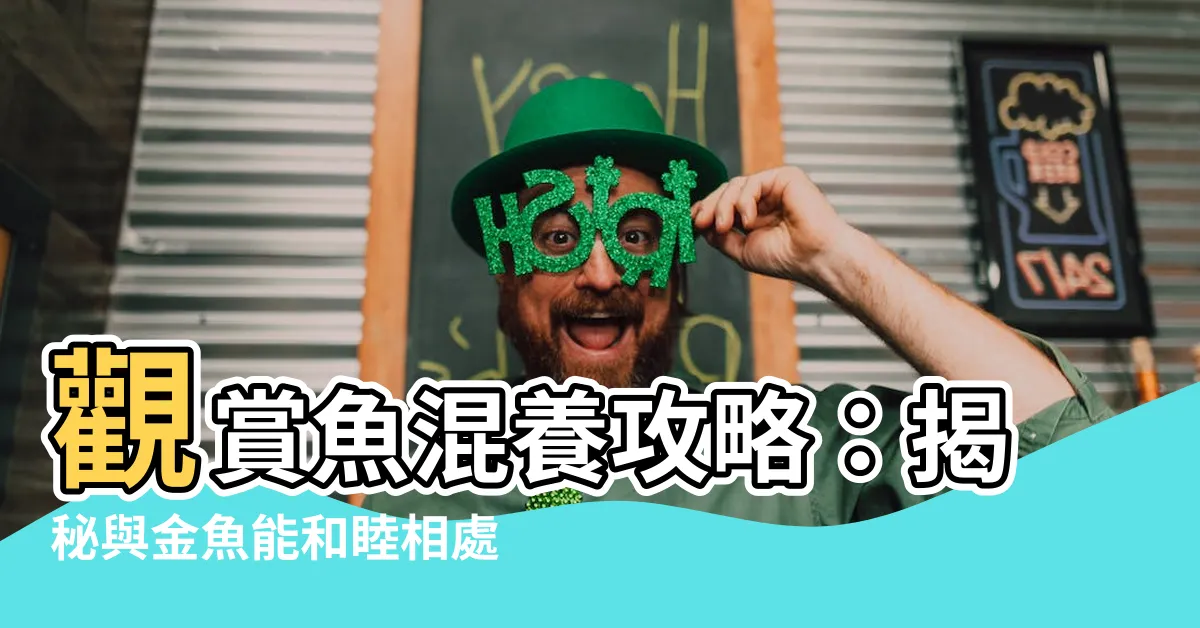 【金魚 混養】觀賞魚混養攻略：揭秘與金魚能和睦相處的魚類夥伴