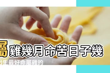 【屬雞的年底生好不好】屬雞幾月命苦日子幾月出生最好命屬雞的命運 |看看你癸卯年運勢如何 |2023年十二生肖屬雞人運程詳解 |