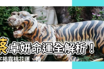 【蔡卓妍 八字】蔡卓妍命運全解析！八字揭露桃花運、婚姻運