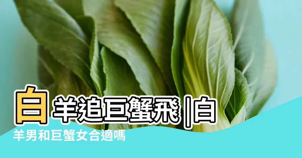 白羊追巨蟹飛 |白羊男和巨蟹女合適嗎 |巨蟹女怎麼追白羊男 |【巨蟹女如何追到白羊座男生】