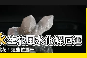【永生花風水化解】永生花風水化解厄運擋桃花！這些位置千萬不要擺！