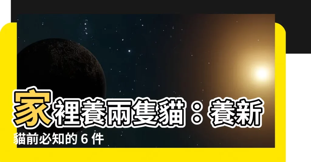 【家裡養兩隻貓】家裡養兩隻貓：養新貓前必知的 6 件評估重點