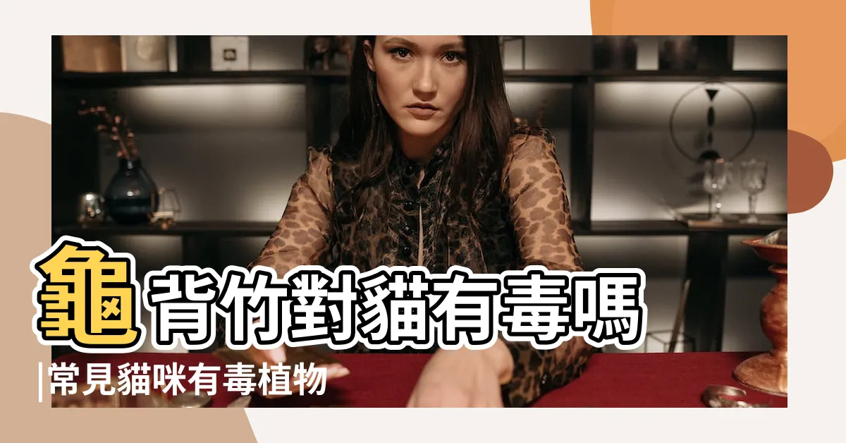 【龜背竹 貓】龜背竹對貓有毒嗎 |常見貓咪有毒植物清單 |龜背芋貓狗不宜 |