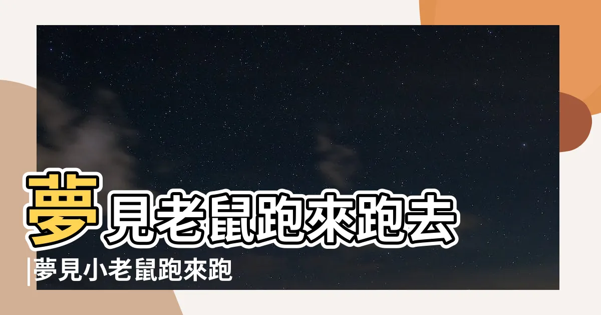 【夢見老鼠跑來跑去】夢見老鼠跑來跑去 |夢見小老鼠跑來跑去 |夢見大老鼠跑來跑去 |