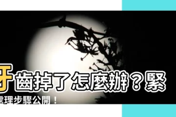 【牙齒掉了】牙齒掉了怎麼辦？緊急處理步驟公開！