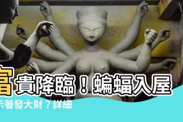 【蝙蝠入屋 意思】富貴降臨！蝙蝠入屋預示著發大財？詳細解析蝙蝠入屋意思