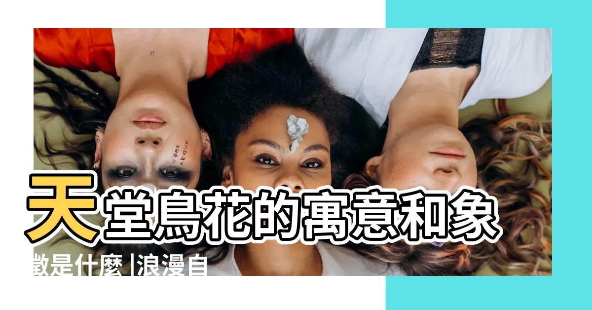 【天堂鳥寓意】天堂鳥花的寓意和象徵是什麼 |浪漫自由的羽翼 |解讀天堂鳥的含義 |