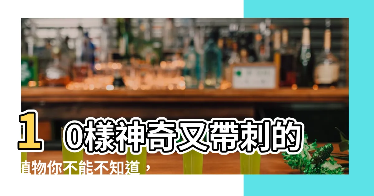 【帶刺有刺的植物】10樣神奇又帶刺的植物你不能不知道，擺放還有禁忌！